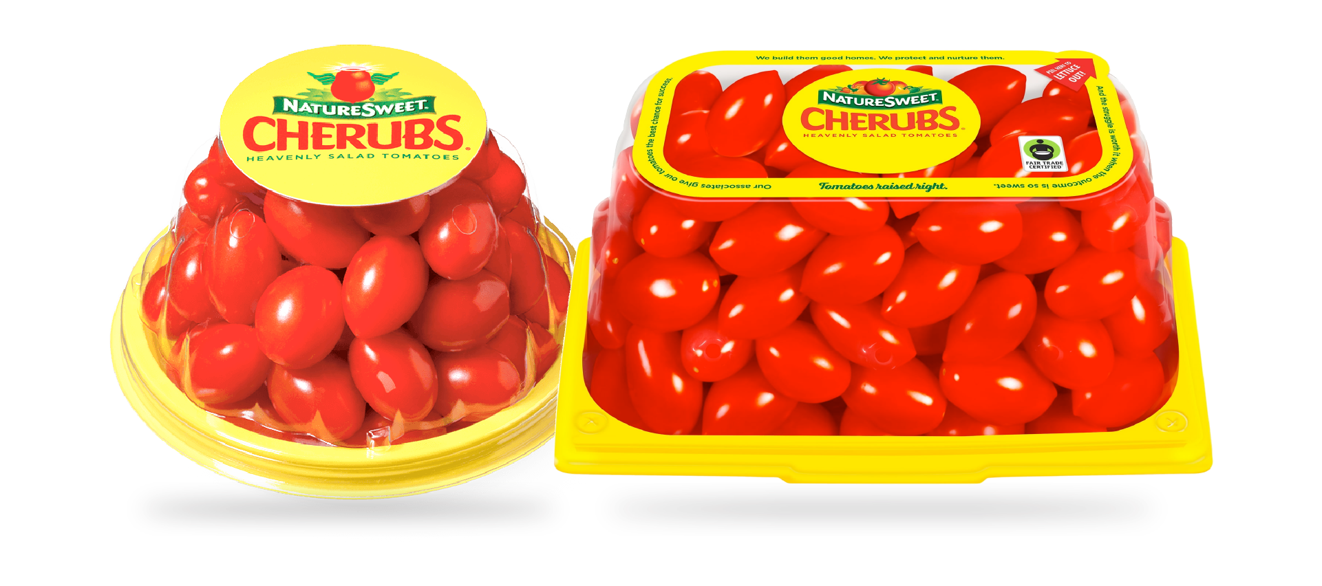 Case study header image